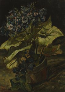 Cinéraire - Vincent van Gogh